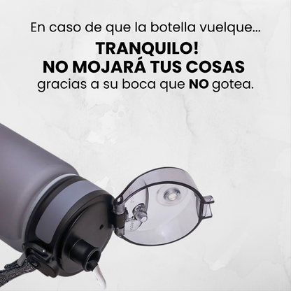 Botella De Pokemon 560ML (11 modelos disponibles)