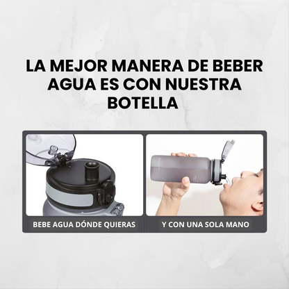 Botella De Pokemon 560ML (11 modelos disponibles)